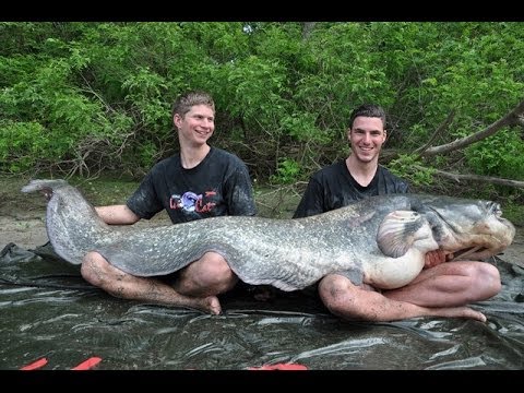 Тихорецк каркасные дома цена