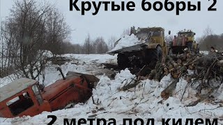видео: Крутые бобры 2.  2 метра под килем. Angry beavers 2. 2 meters under the keel картинка: Крутые бобры 2.  2 метра под килем. Angry beavers 2. 2 meters under the keel