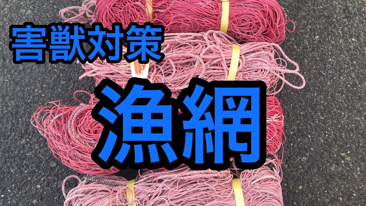 漁網で害獣対策】魚を獲る網で獣を撃退 コーナン 中古漁網 じゃがいも