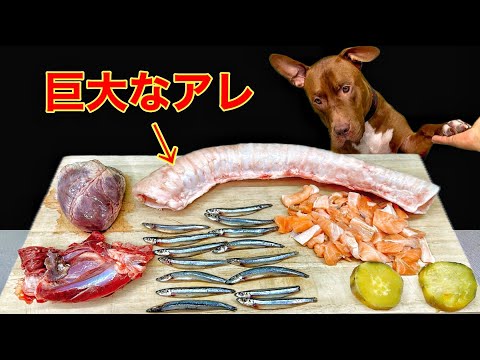 犬の咀嚼音!珍しい牛の巨大なアレを豪快に噛み砕く咀嚼音がクセになる