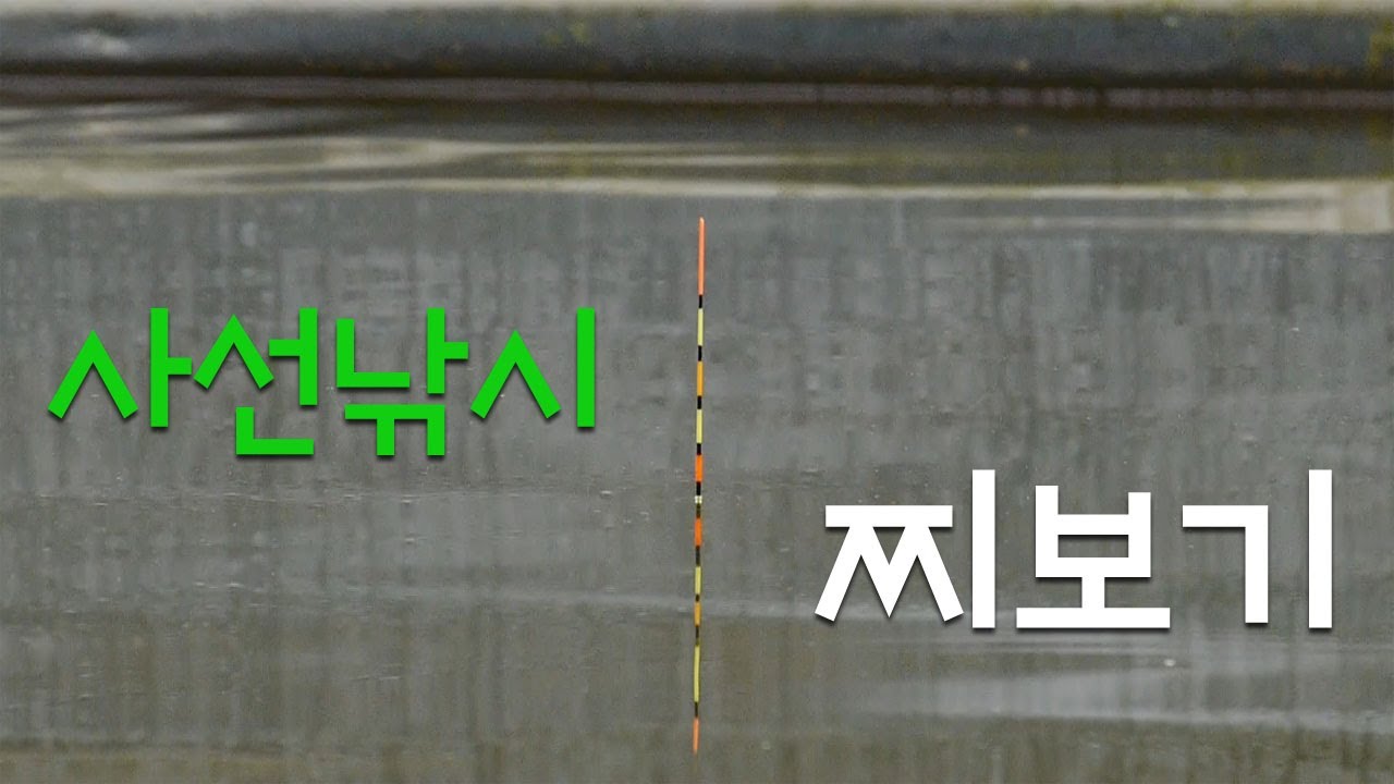 사선낚시 실시간 찌보기