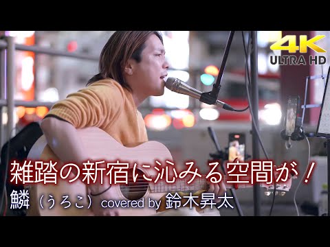 【 歌うま 】雑踏の新宿に沁みる空間が！　 鱗（うろこ）/ 秦基博（cover）" 鈴木昇太 " 新宿路上ライブ 4K映像