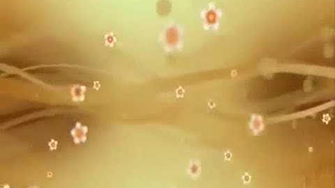 سورتي الفاتحة والشرح تلاوة فضيلة الشيخ سامي الواكد