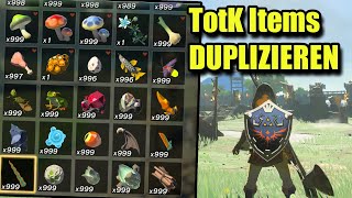 So DUPLIZIERST du Items in Tears of the Kingdom [Version 1.1.0]