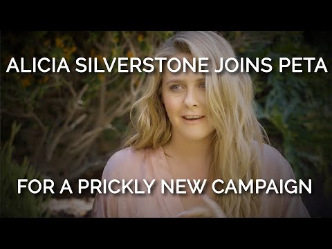 Alicia Silverstone Joins PETA for a Prickly New Campaign