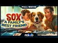 SOX: A FAMILY