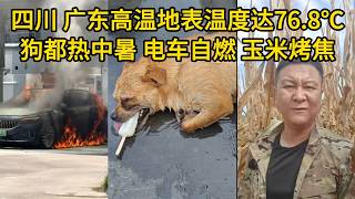 Sichuan and Guangdong swelter under 76.8°C ground temperatures: Water boils near steel coils, dog...