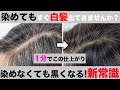 【白髪ケア】セルフケアでしっかり染まり失敗しない方法！白髪染めはもういらない！　表参道美容師 SALONTube 渡邊義明