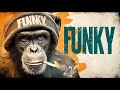 Groovy Soul Pop Grooves – Chill Vibes
