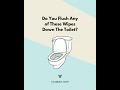 Do You Flush Any of These Items Down The Toilet.mp4