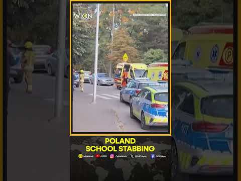 Poland School Stabbing: One Dead, Two Injured in Poland's Second School Attack in Two Days | WION