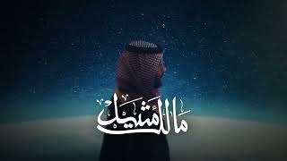 Dalia And Hamza Hawsawi - Malek Metheel داليا وحمزه هوساوي - مالك مثيل حصريا 2025