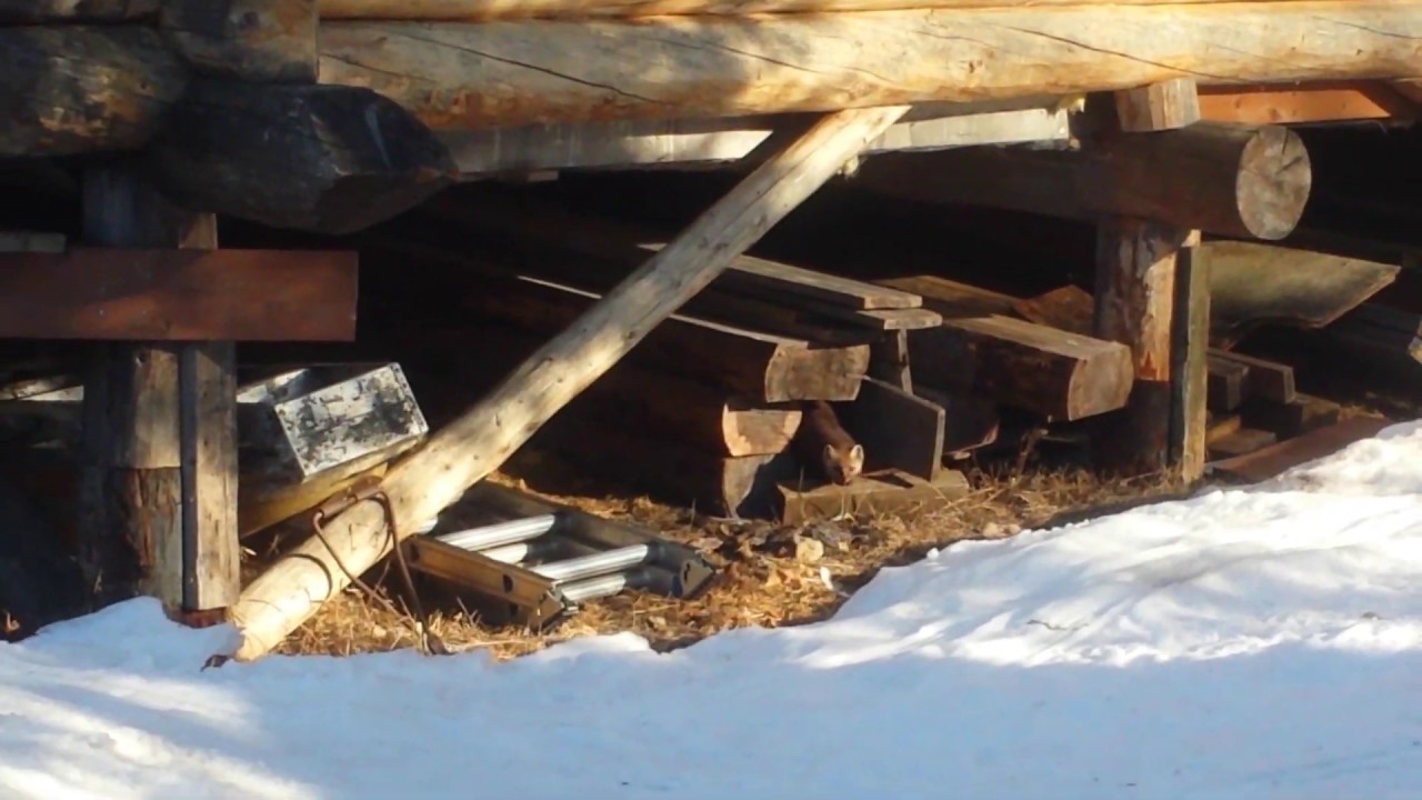 Martin at the Hidden Alaska Lodge