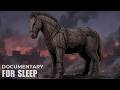 Legend of Troy and the Full Story of the Burning City | Sleep History