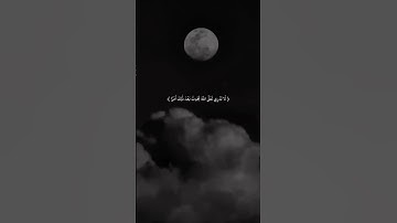 قرآن كريم بصوت القارئ: رعد الكردي || أجمل حالات واتس اب دينيه || تلاوة خاشعة 🌿