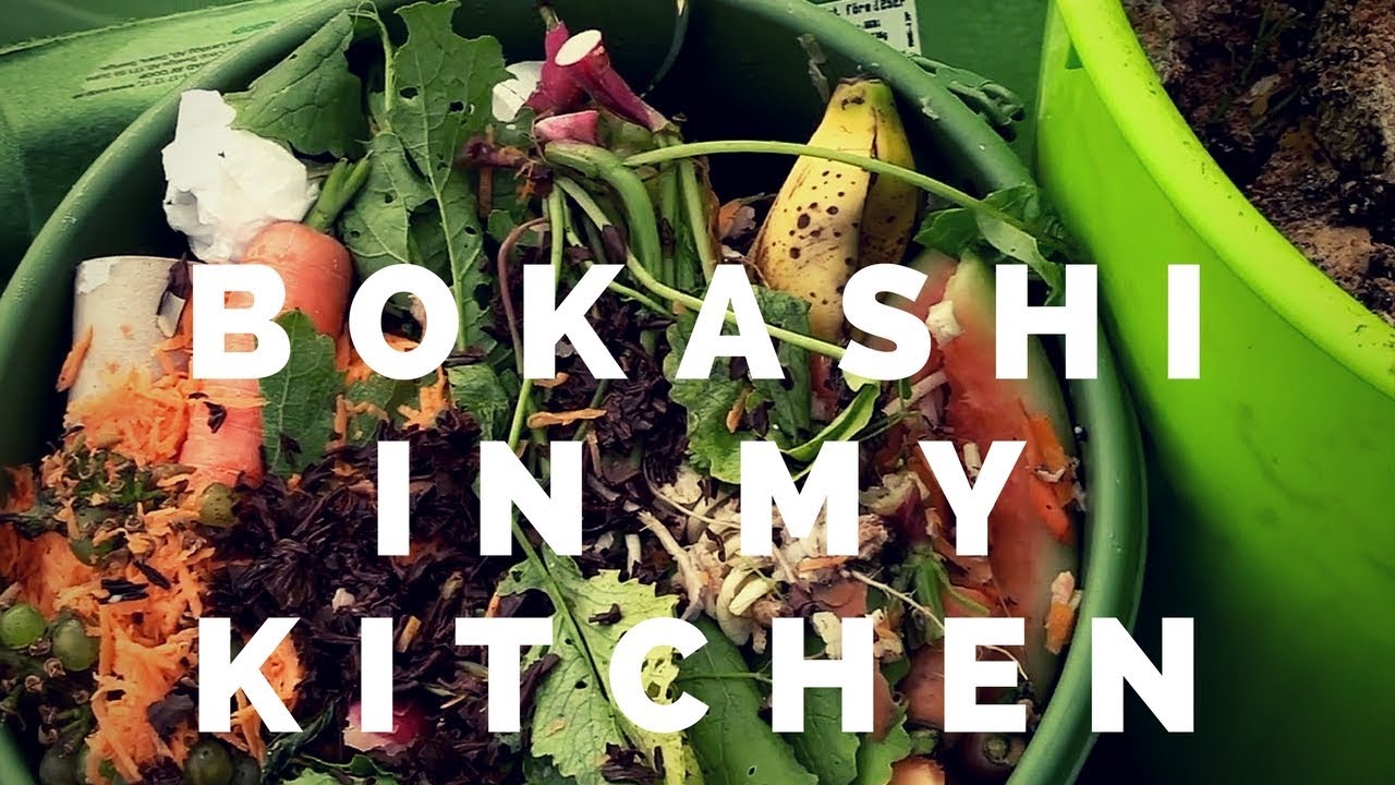 Bokashi in my kitchen