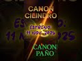 DUEL0 CANON ⚔️ Cilindro vs Paño | El ganador te sorprenderá 😱 | RuletaTest #ruletatest #casino