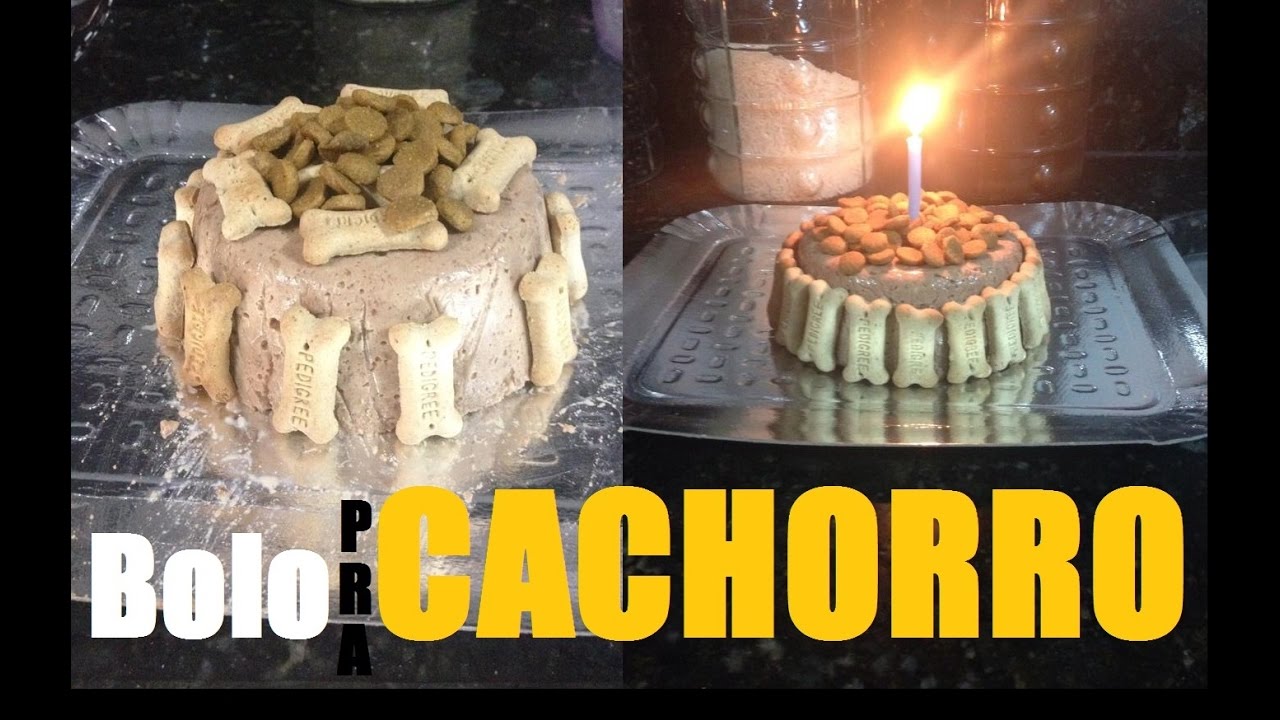 3 receitas de bolo de aniversário para cachorro