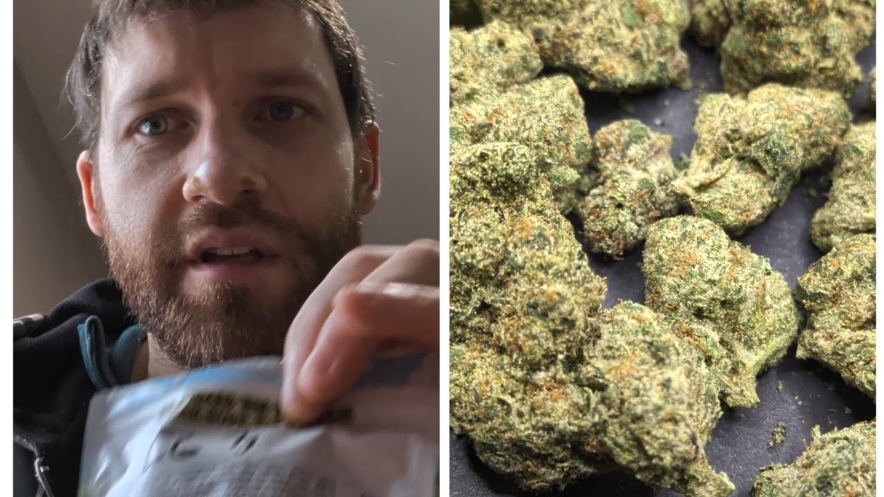 "Colombian gold" thca small buds value indoor hemp flower