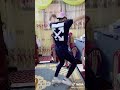 انا رايح سنه اولي انا رايح سنه اولي