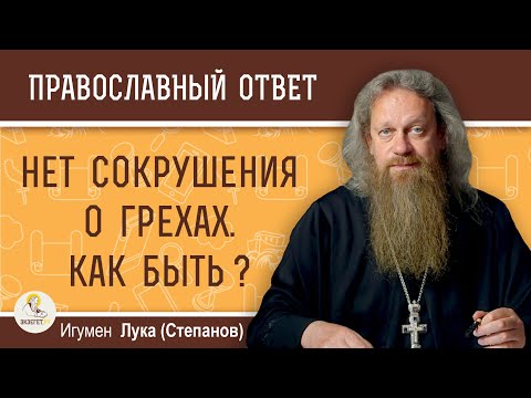 НЕТ СОКРУШЕНИЯ О ГРЕХАХ. Как быть ?  Игумен Лука (Степанов)