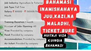 kisiwa Gani cha Bahamas ni safari chenye  kazi ,kutoka Dar - Bahamas bila visa na fursa za kazi