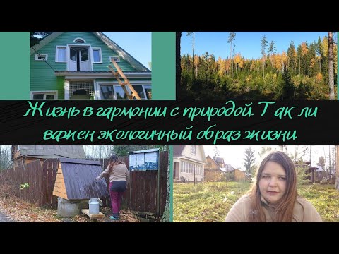 Stream Dame Nature by Sayne Music Listen online for free on SoundCloud