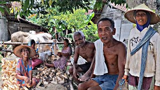 Living in the Village‼️A Village in the Middle of the Forest in the Ancient Javanese Tribe, Which...