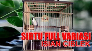 Cipoh Sirtu Juara Isian Ciblek Full Variasi
