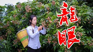 How to use longan to make delicious traditional Chinese snacks一大片的龍眼，就算可以做成乾圓，也可以做零食｜野小妹 Wild girl