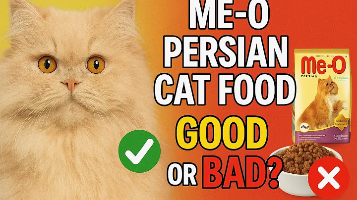 Video 10498181: persian cat food review, best cat food