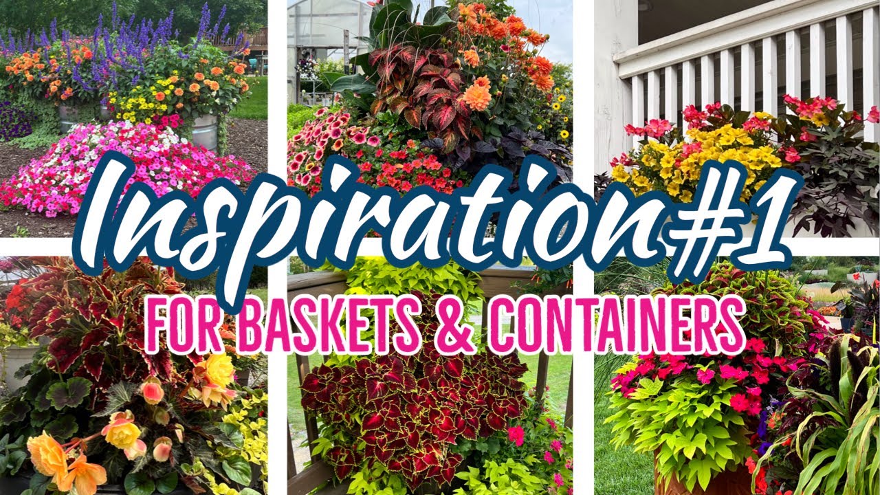 Hanging Basket and Container Plant Inspiration