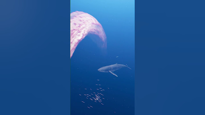 Whales attacked by strange creatures | Zeenchu #Shorts #creature #deepsea