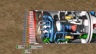 Celebrity AVN Machines Segmental Lining Profile