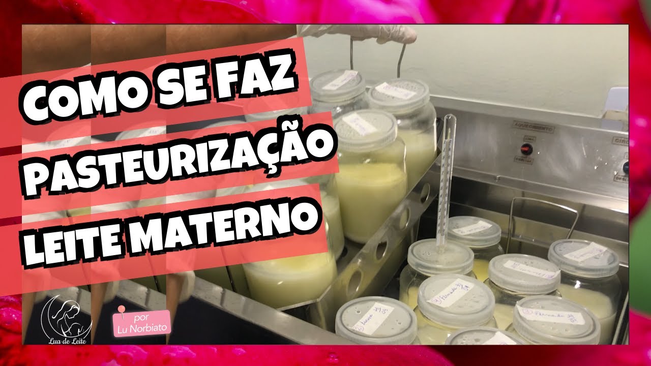 o-que-feito-com-o-leite-materno-doado-como-feito-a-pasteuriza-o