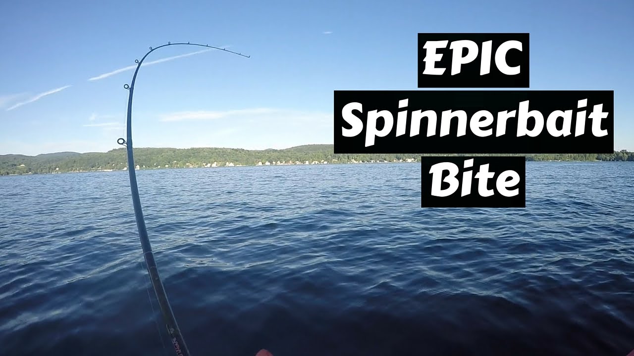 EPIC Spinnerbait Bite! ~ Bass Fishing Lake Bomoseen, Vermont