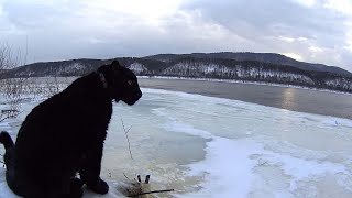 Walking with the leopard. Along the magic river. The second day