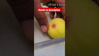     Details In Description