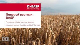 Полевой вестник BASF. Результаты уборки опытных делянок ярового ячменя в АгроЦентре BASF Липецк