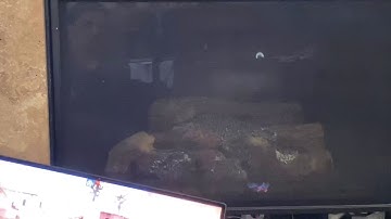 CS:GO Game State’s Home Assistant integration with fireplace and lights