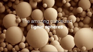 Nanosized Lignin Spheres