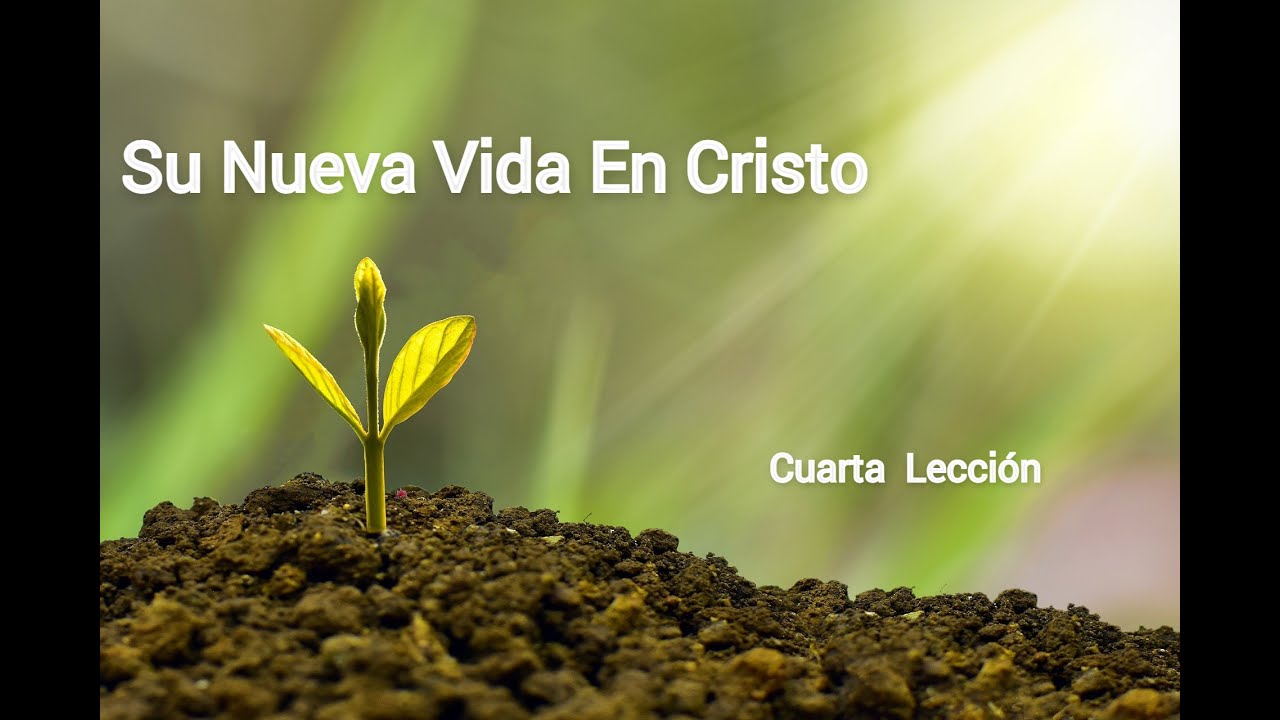 🔴 Estudio Bíblico para Nuevos Creyentes | DISCIPULADO básico para