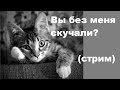 Вы без меня скучали?