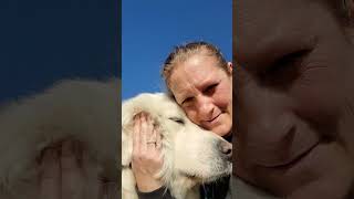 A Wild Zigaluffugus That Belches