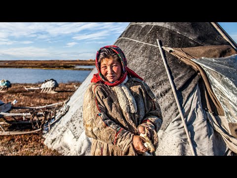 Видео: Как да лекуваме лишеи върху куче