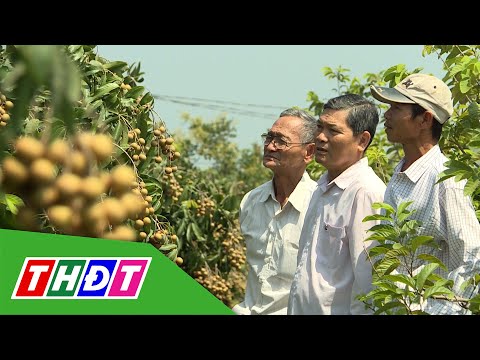 Phát triển OCOP từ nông nghiệp bền vững