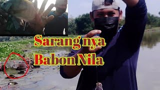Rute Menuju Spot Baru  Kawasan Wisata Teratai Jatisari ,Andong Boyolali .