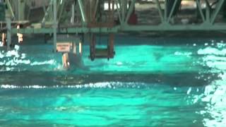 Wolfson Unit - Tank testing C Boat