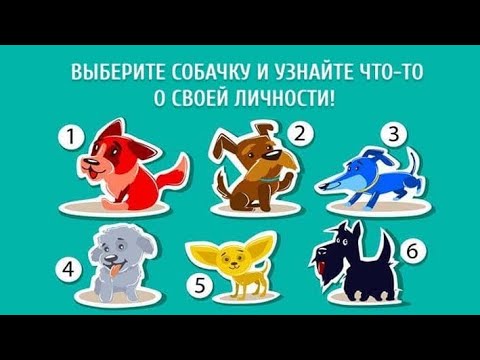 выбери собачек