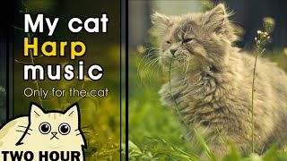 [MY CAT HARP MUSIC] 광고없음 😺 고양이가 좋아하는 하프음악. 편안한 하프소리. 진정. 힐링사운드. Relaxing Therapy Music for Cats
